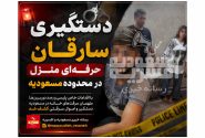 دستگیری سارقان حرفه‌ای شهرک های نظامی در محدوده مسعودیه