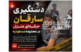 دستگیری سارقان حرفه‌ای شهرک های نظامی در محدوده مسعودیه